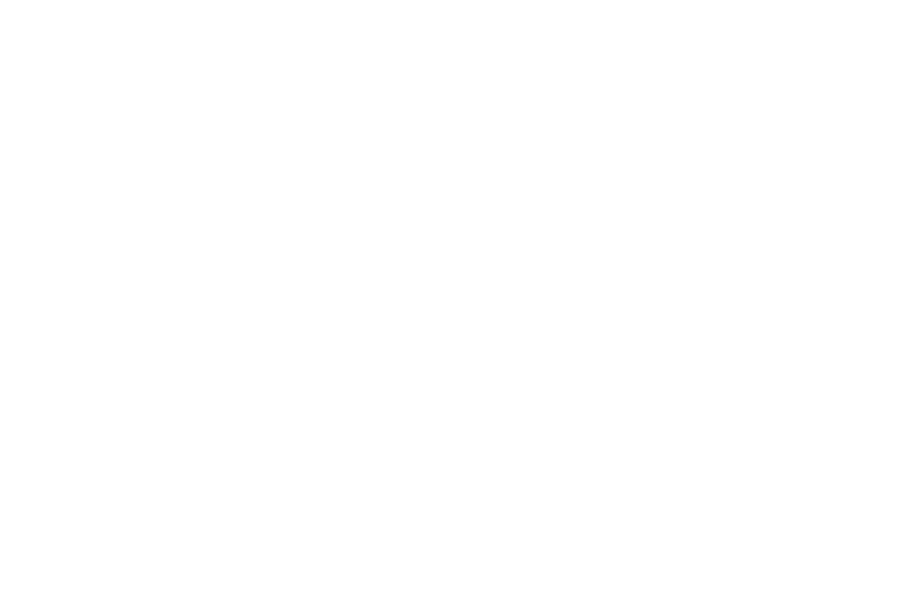 Mega Sale